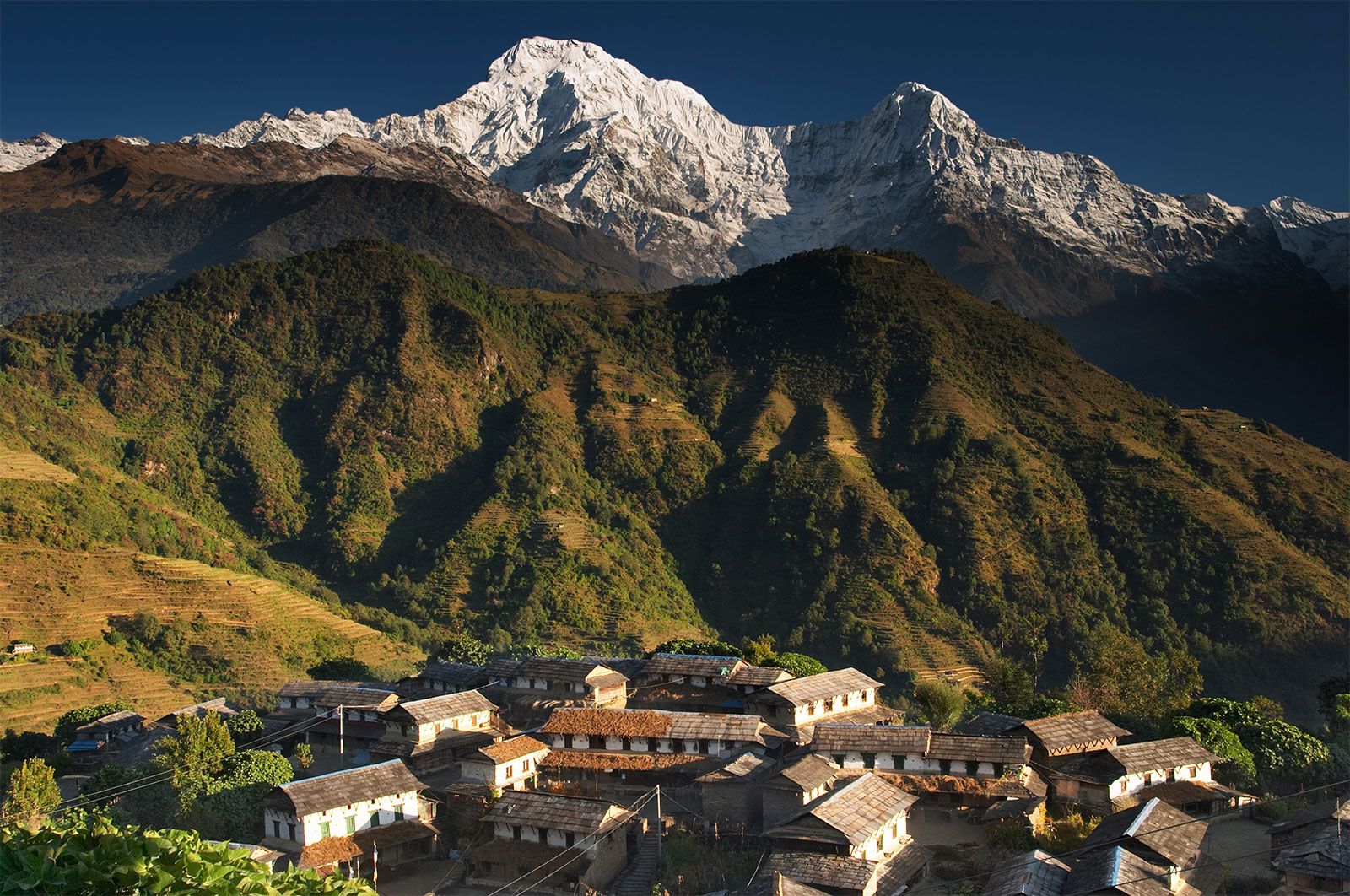 Hidden Village